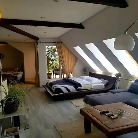 синьо лято 布尔加斯